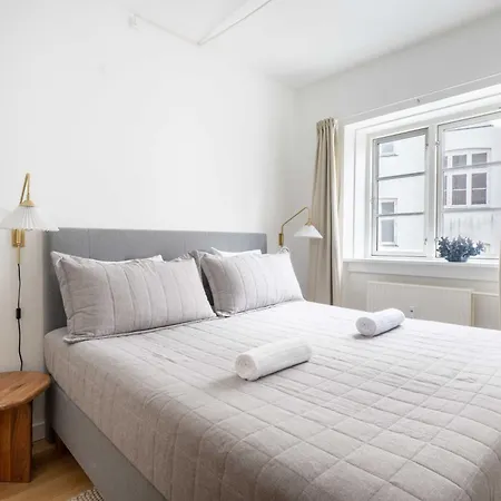 Apartman Stylish In Cph